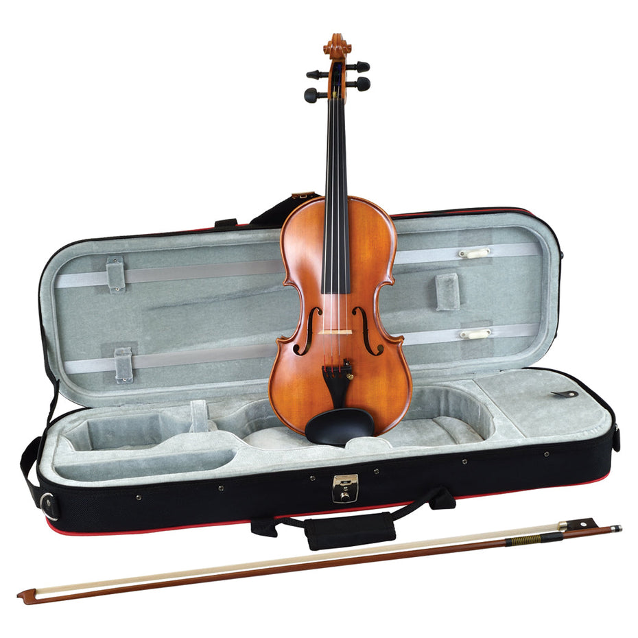 W3180A - Hidersine Vivente Academy violin outfit - 4/4 size 4/4 size