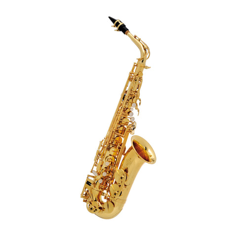 BC8101-1-0 - Buffet Crampon 100 series Eb alto saxophone outfit Default title