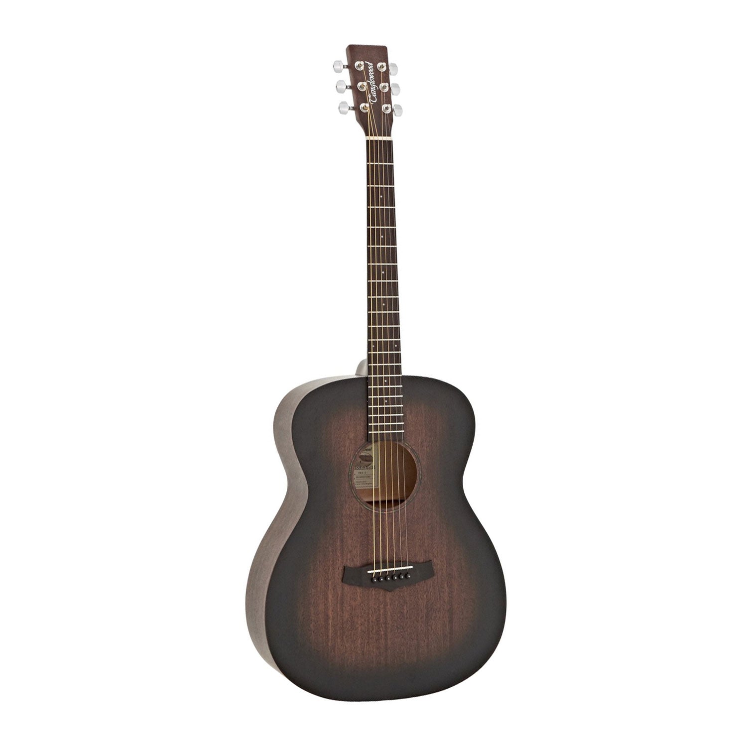 Tanglewood orchestra store guitar